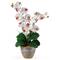 2ft. Double Moth Orchid Silk Flower Arrangement